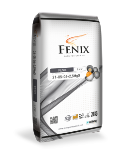 FENIX First 21-05-06+2,5MgO 20 kg