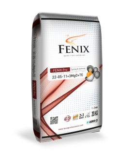 FENIX Pro Spring and Summer 22-05-11+3MgO+TE 20 kg