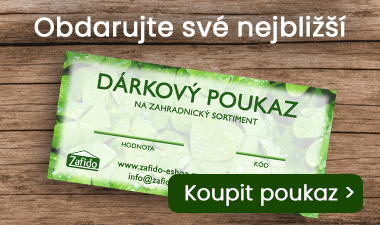 Dárkové poukazy