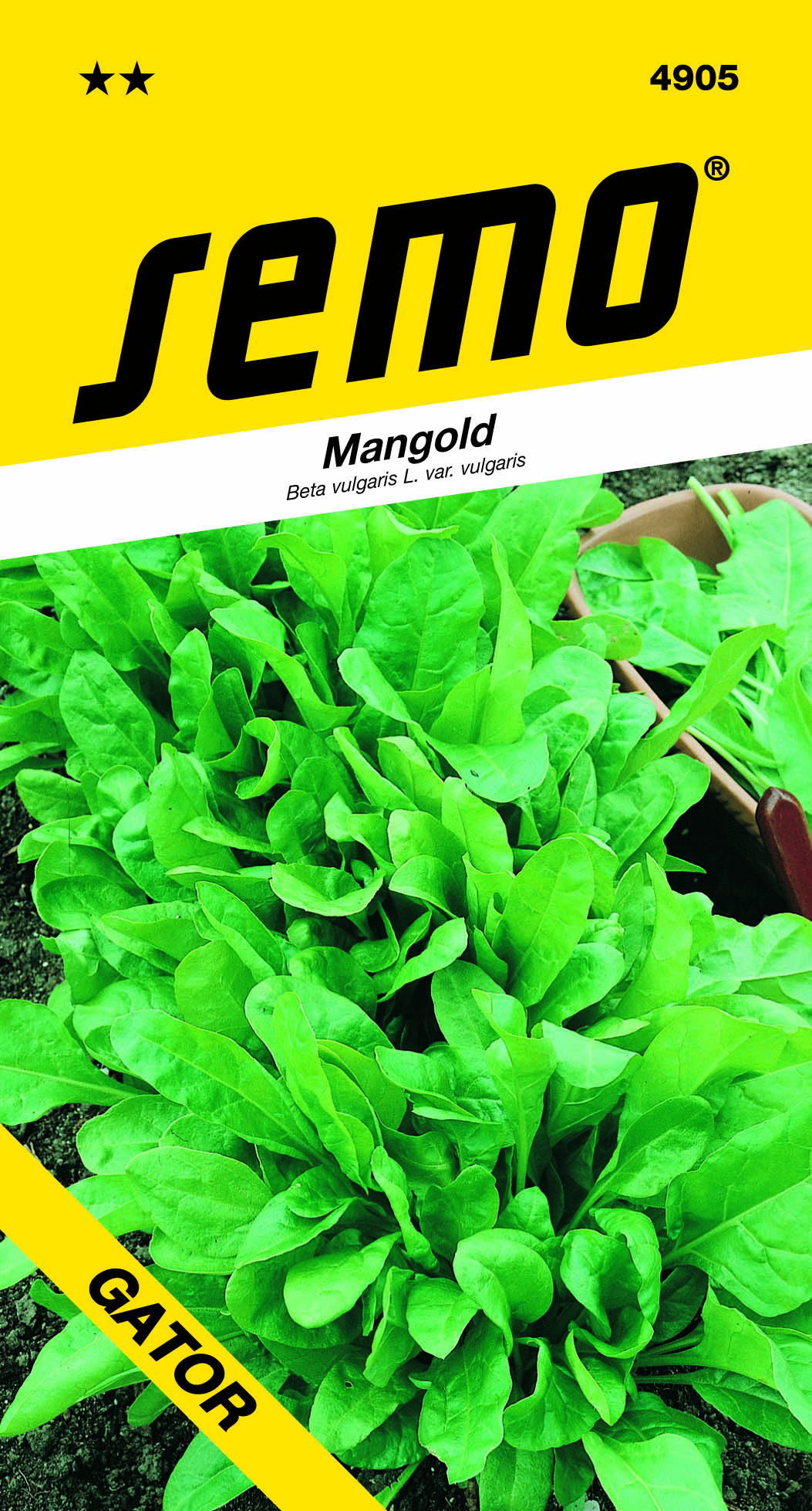 Mangold PERPETUAL SPINACH