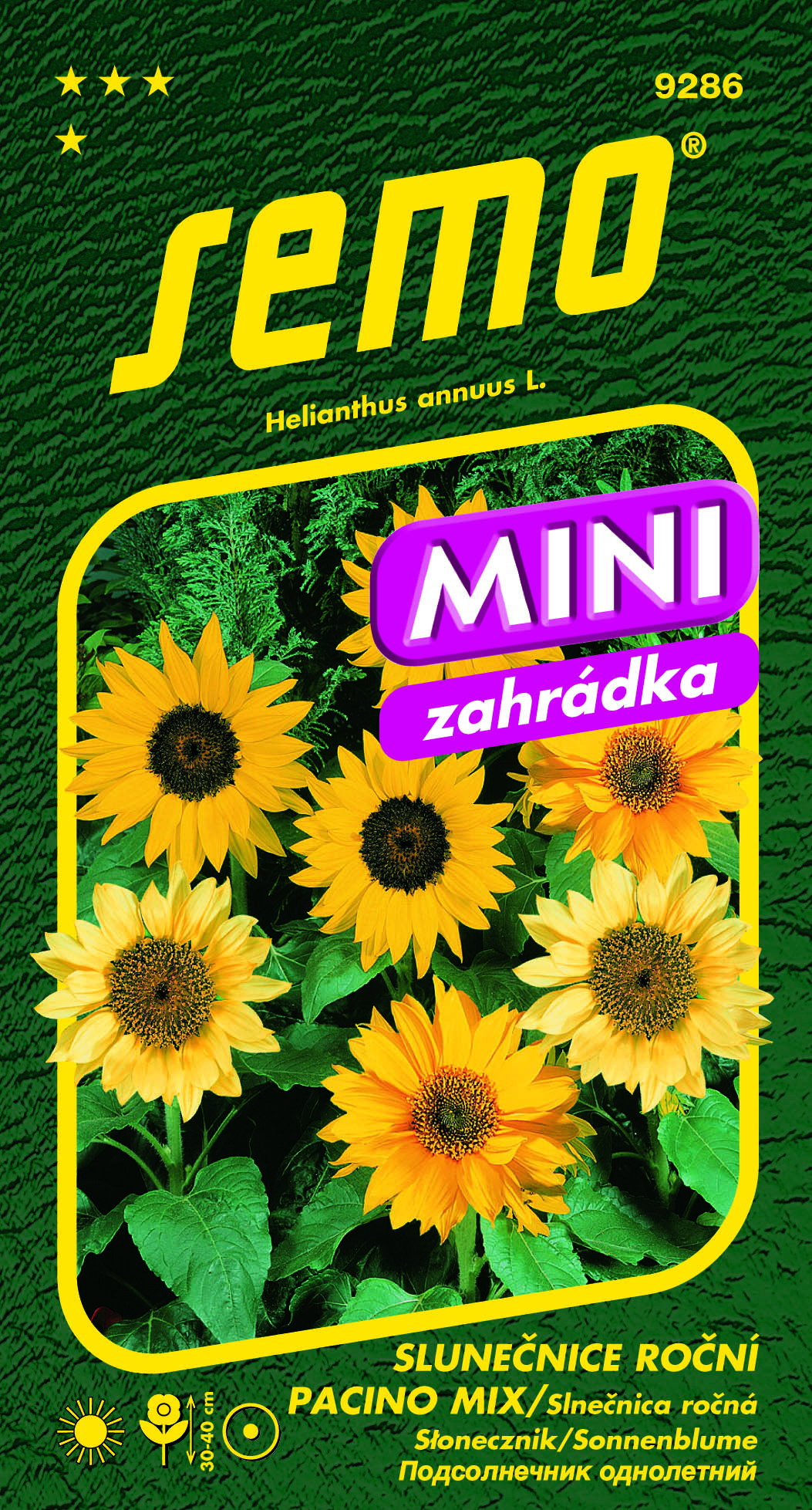 Slunečnice roční PACINO mix mini