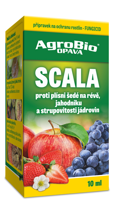 Scala - 10ml