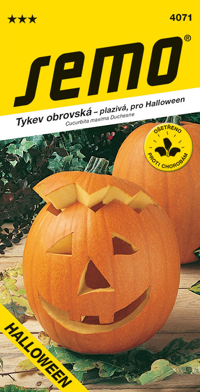 Tykev velkoplodá Gran Gigante