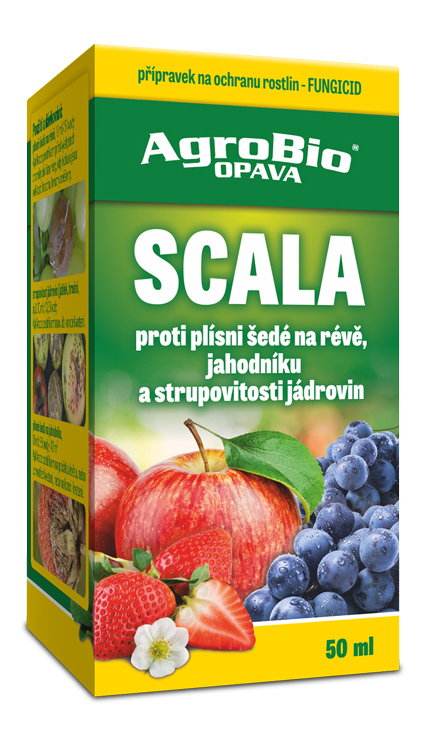 Scala - 50 ml