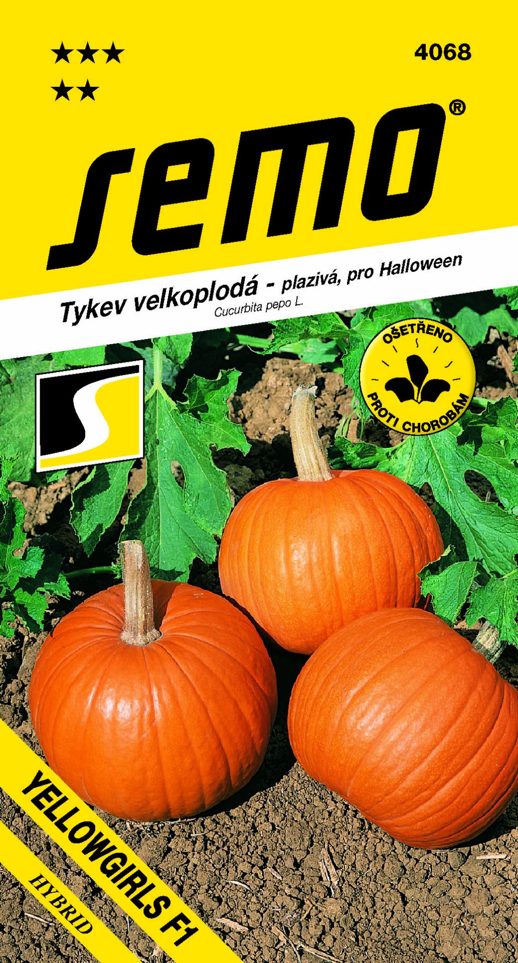 Tykev velkoplodá Yellowgirls F1