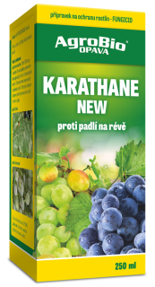 Karathane New 250 ml