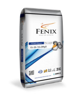 FENIX Basic Pre-seed 15-20-10+3MgO 20 kg