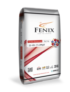 FENIX Balanced Spring 22-05-11+2MgO 20 kg