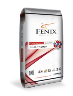 FENIX Balanced Summer 19-08-19+2MgO 20 kg