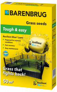 BARENBRUG RESILIENT BLUE Lawn 1 kg 