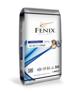 FENIX Basic Spring 22-05-11+2MgO 20 kg