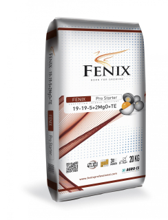 FENIX Pro Starter 19-19-05+2MgO+TE 20 kg