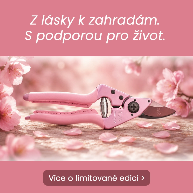 _HP_Banner_CZ_Pink_blossom_mobil.webp