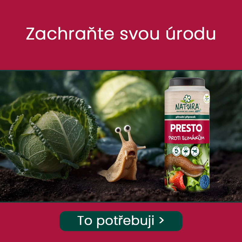 _HP_Banner_CZ_Presto_mobil.jpg