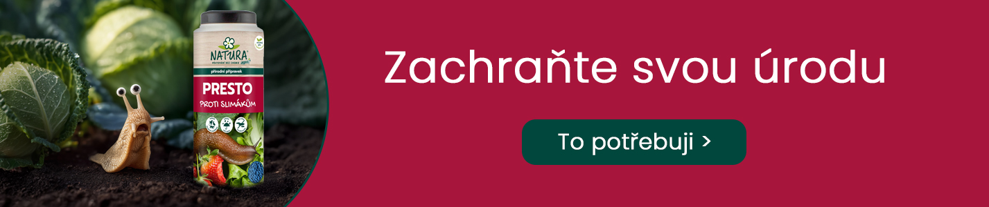 _HP_Banner_CZ_presto.jpg