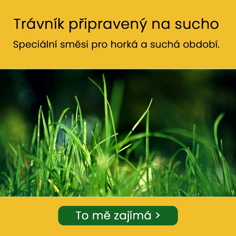 _HP_Banner_CZ_travnik_sucho_mobil.webp